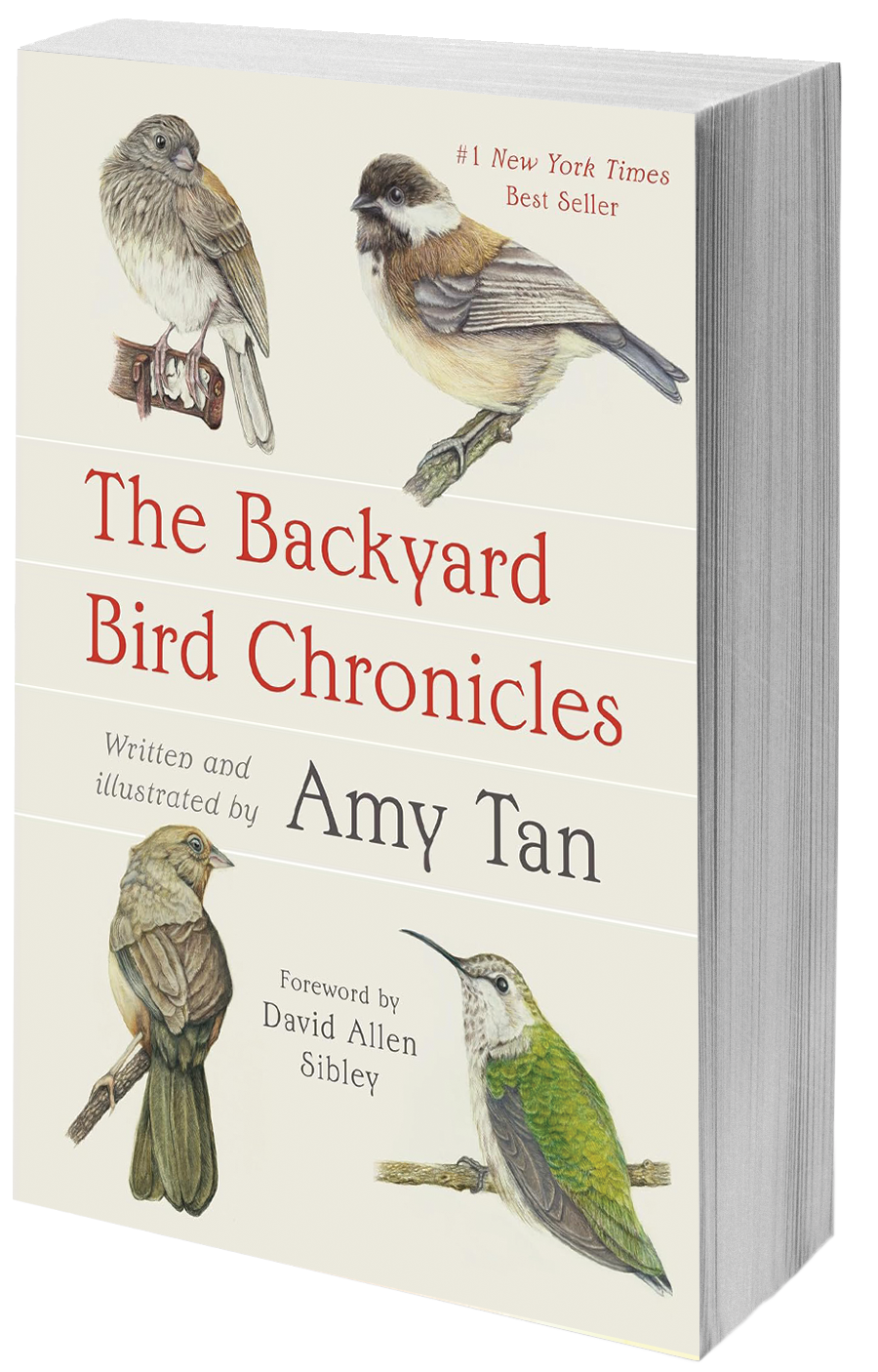 book cover drawings of birds