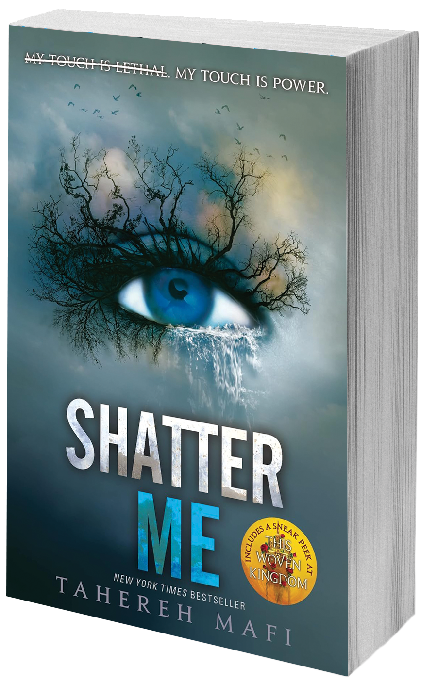 book cover eye in a storm