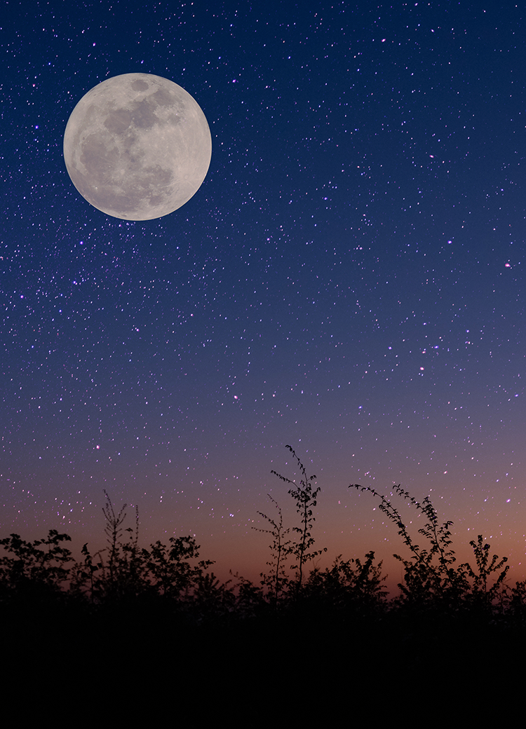 night sky