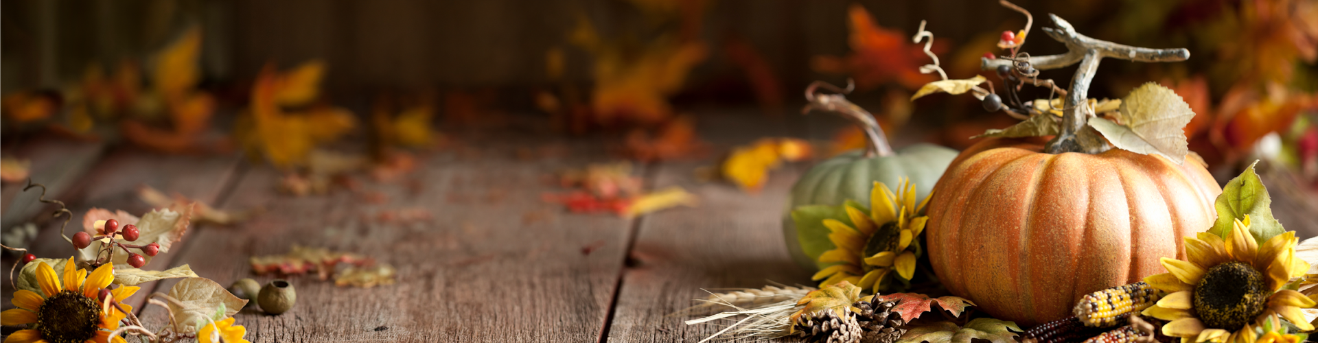 fall background