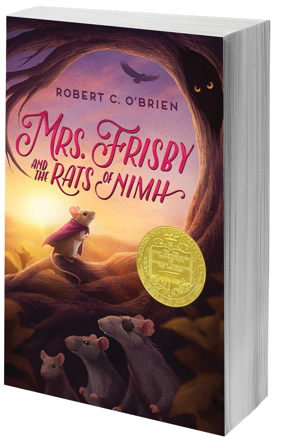 book cover a moue and three rats