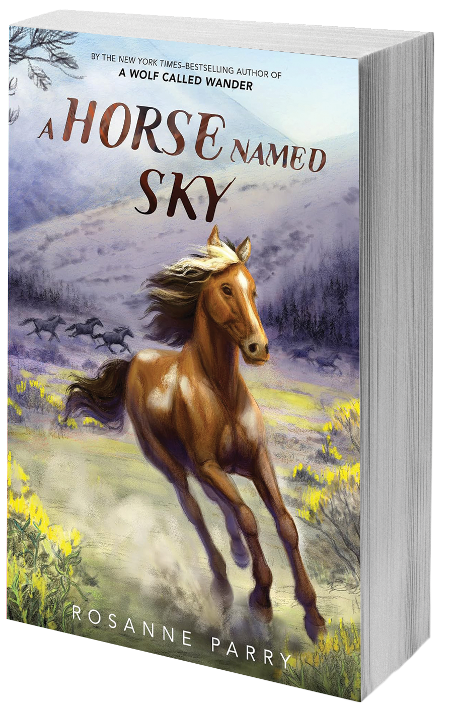 Horse named sky