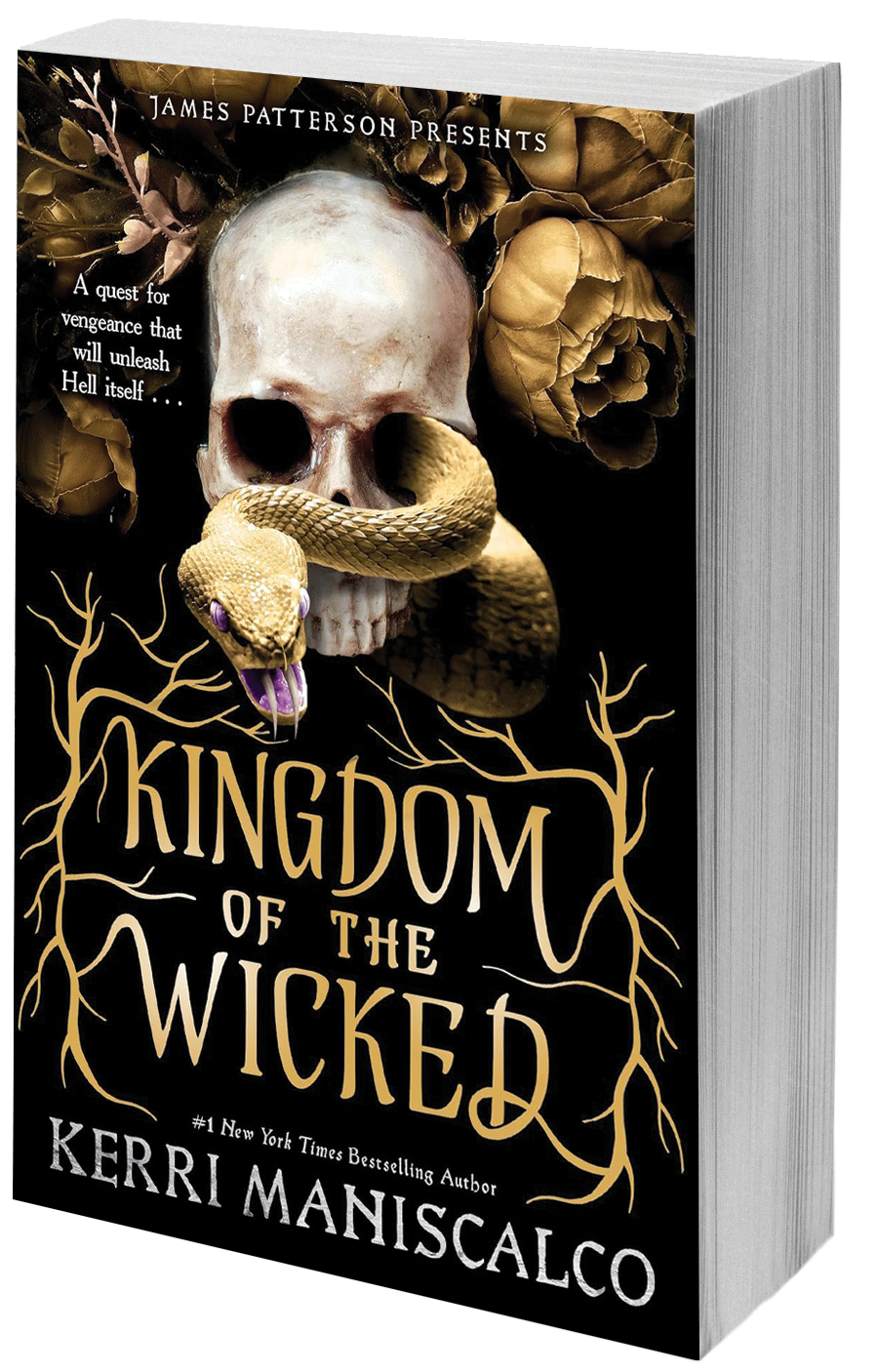 Kingdom of the wicked