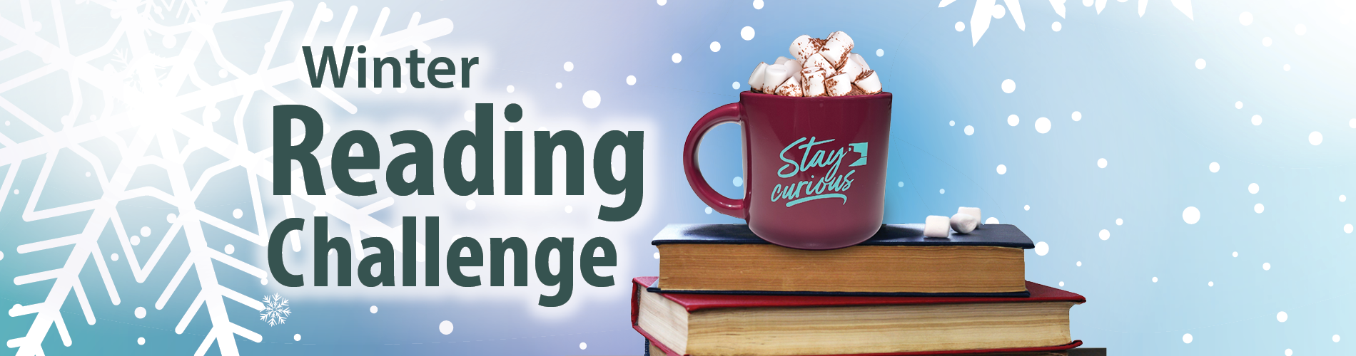 winter Reading challenge