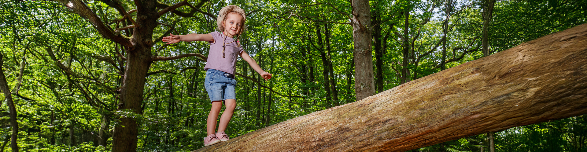 girl climbing tree
