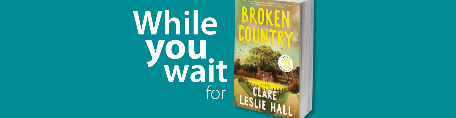 Broken Country book cover