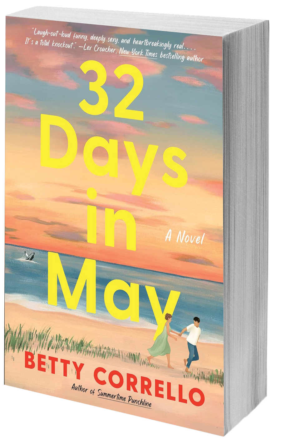 book cover couple on the beach