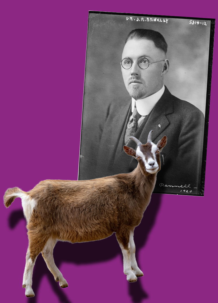 Goat and Dr Brinkley