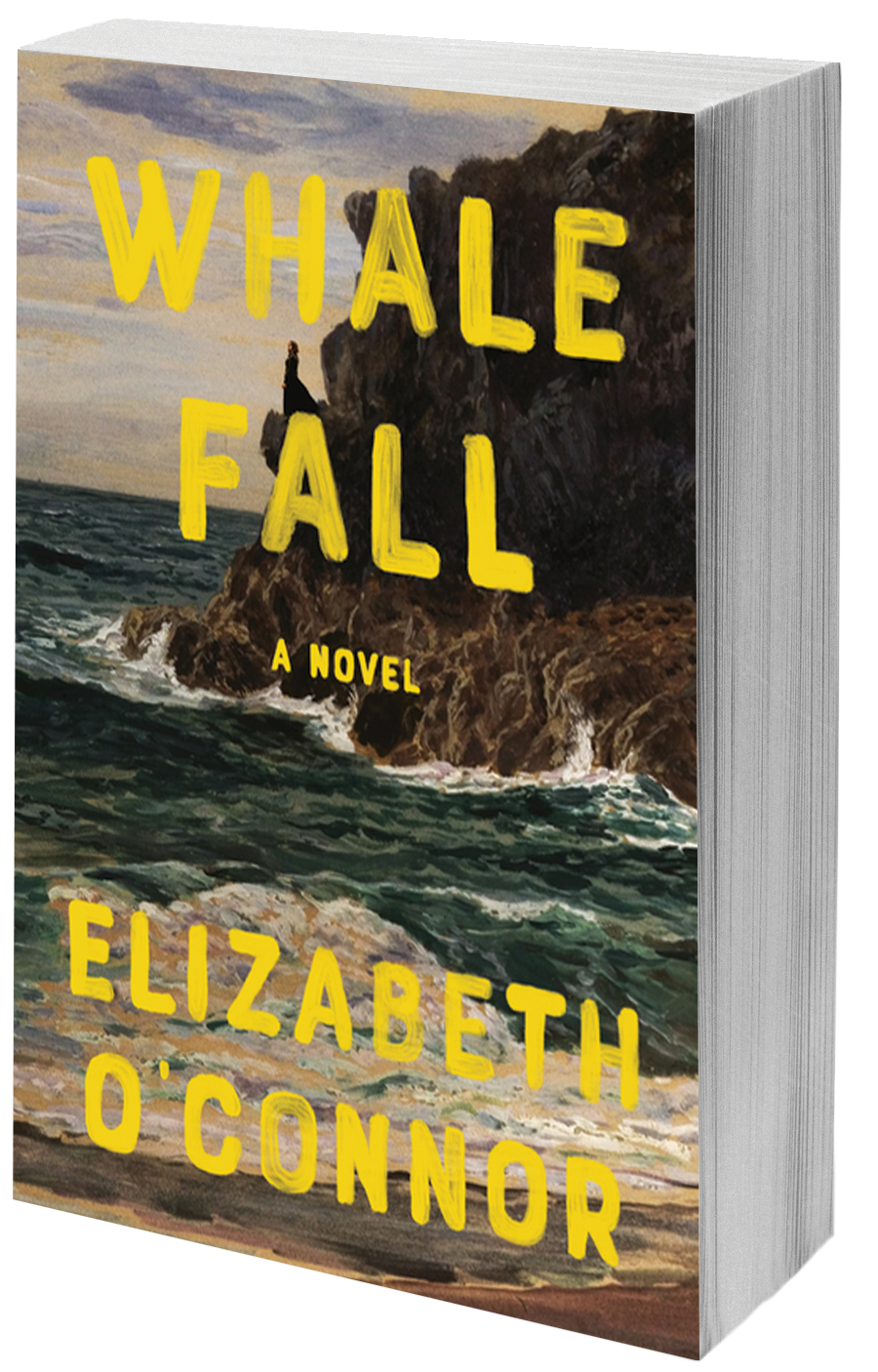 book cover ocean cliff