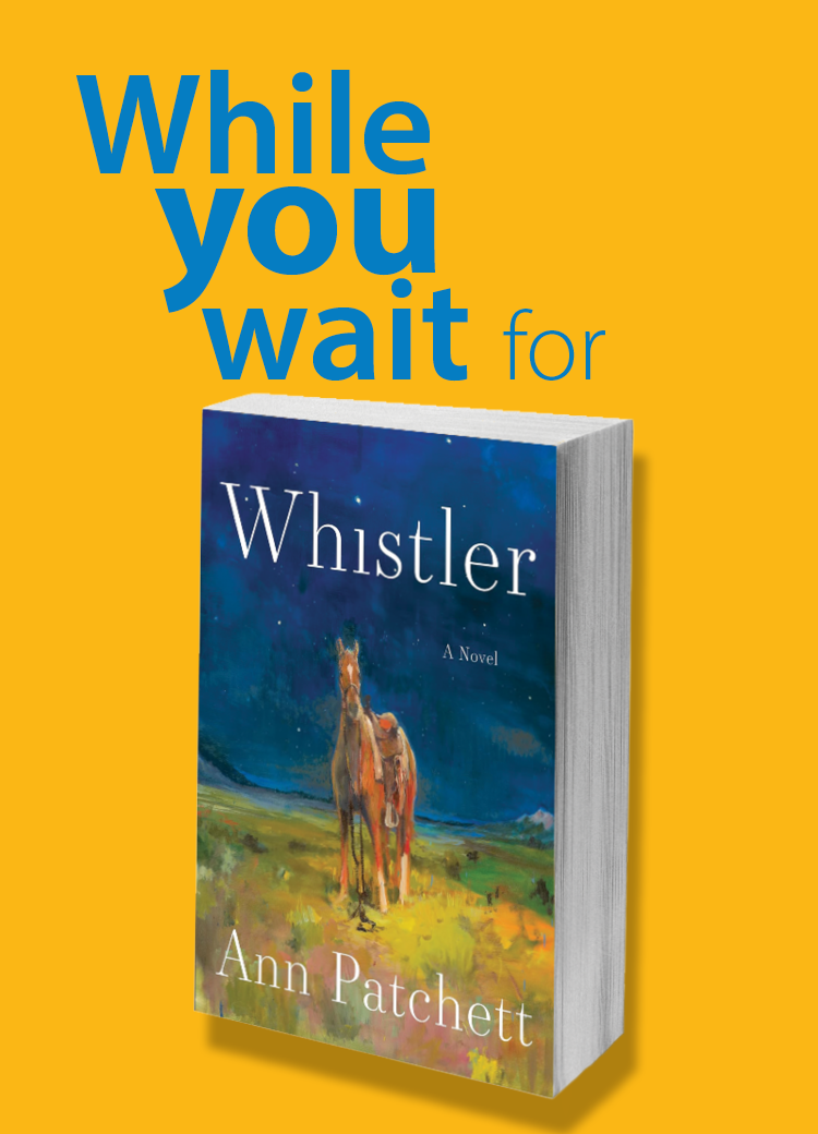 while you wait