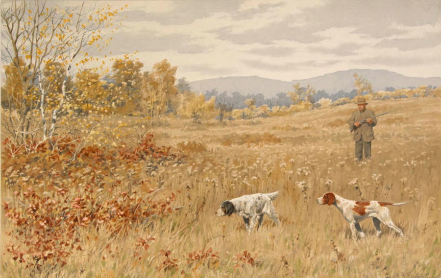 https://commons.wikimedia.org/wiki/File:Quail-A_Dead_Stand,_by_A_B_Frost_from_Shooting_Pictures,_by_Scribner_%26_Sons,_1895.jpeg