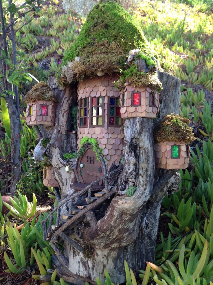 fairy house built into a tree stump