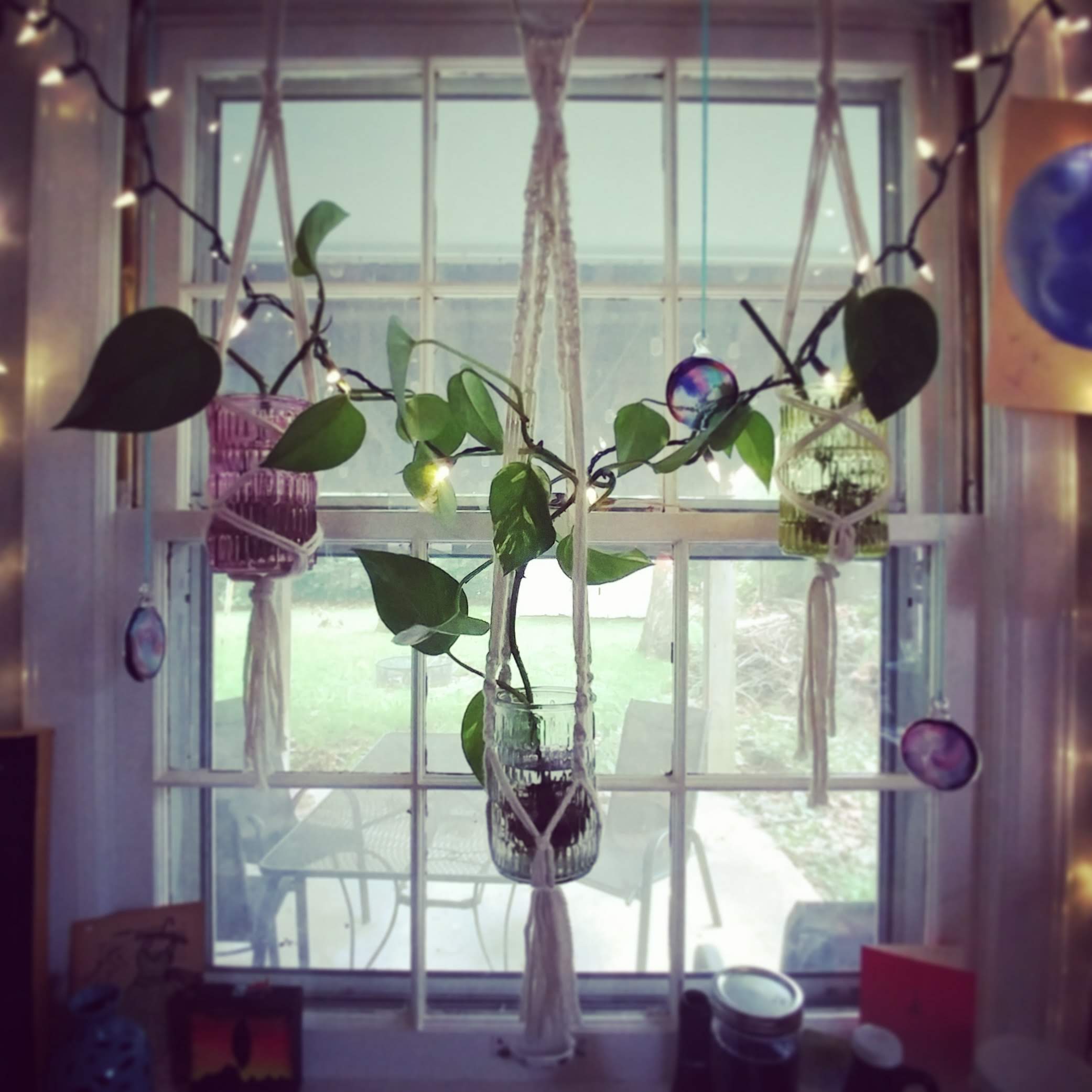 My Macramé Plant Hangers