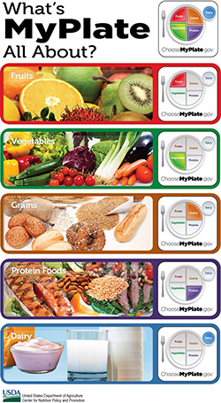 What's My Plate infographic