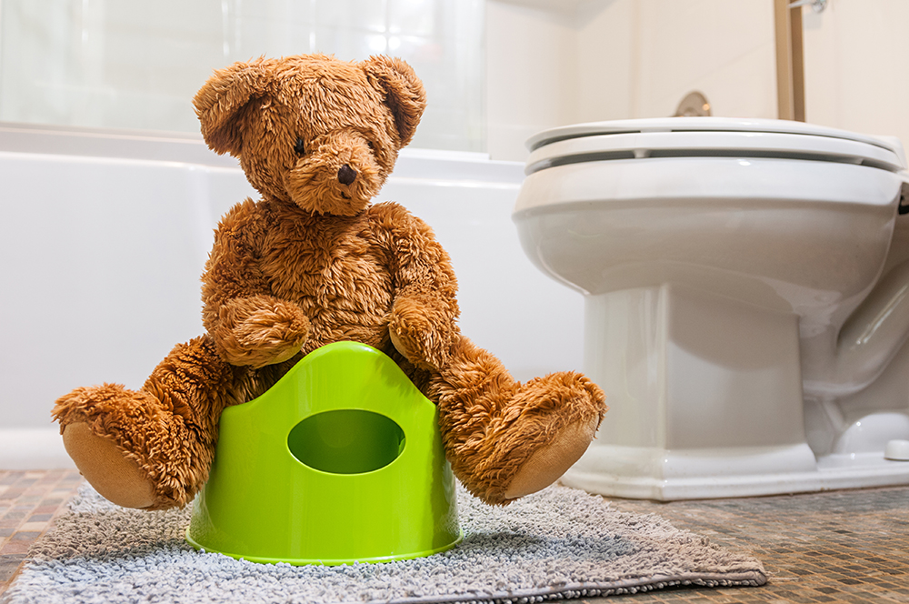 Teddy bear and green potty inside of domestic bathroom