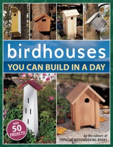 birdhouses you can build in a day book cover