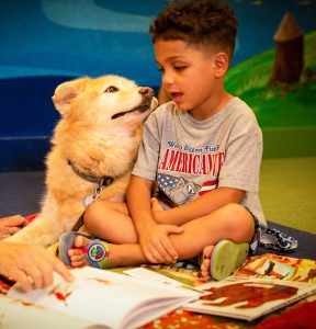 Therapy dog Waverly listens to Isiah reading