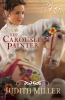 carousel painter cover