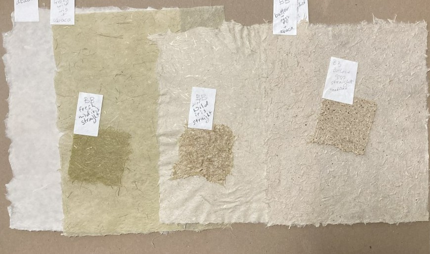 four sheets of handmade paper with visible fibers