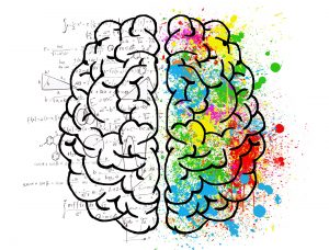 brain graphic full of colors