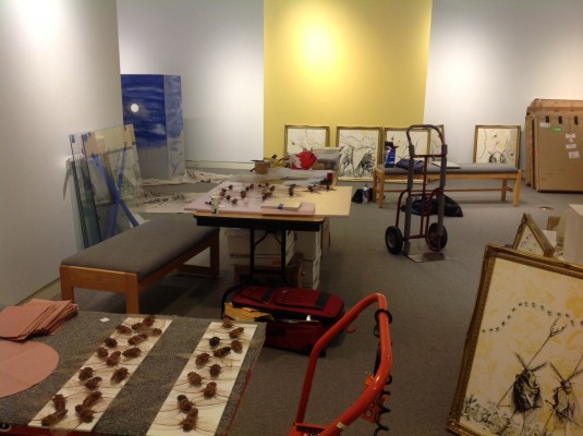 art and bugs