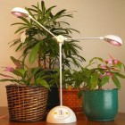 LightsforIndoorPlants