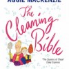 cleaning bible