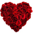 Roses in heart shape