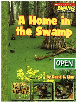 A Home in the Swamp book cover
