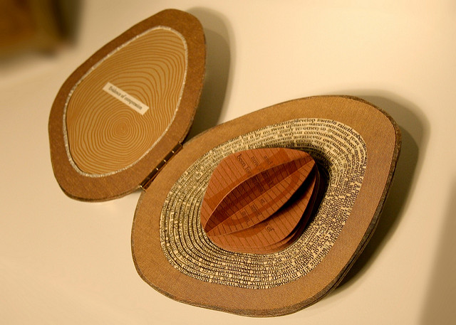 "Evidence of Compression" an artists' book by Julie Chen.