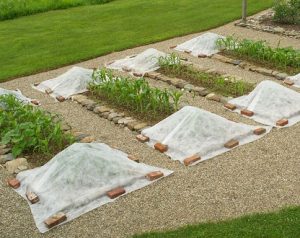 Photo courtesy of Distant Hill Gardens.
